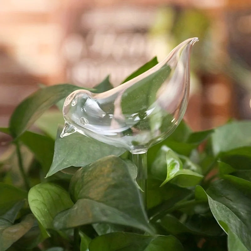 Arroseur Automatique Oiseau Verre - Système Irrigation Goutte à Goutte | Lot 3 - vue 5 | Plantovia