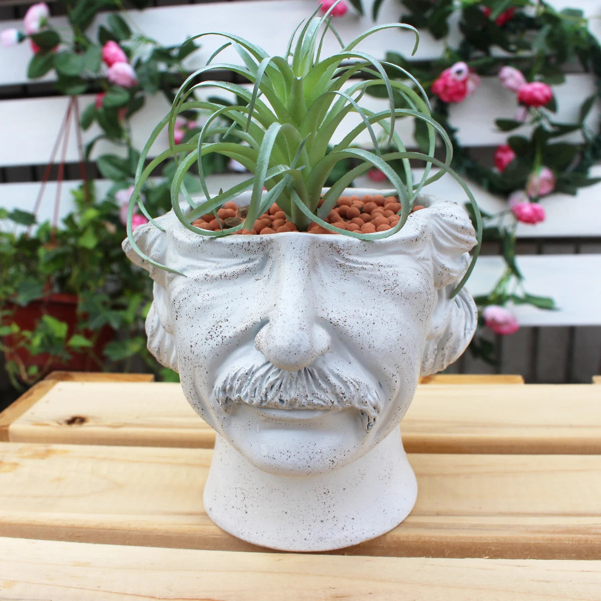 Pot Buste David Michelange Céramique - Sculpture Grecque Antique | Succulentes